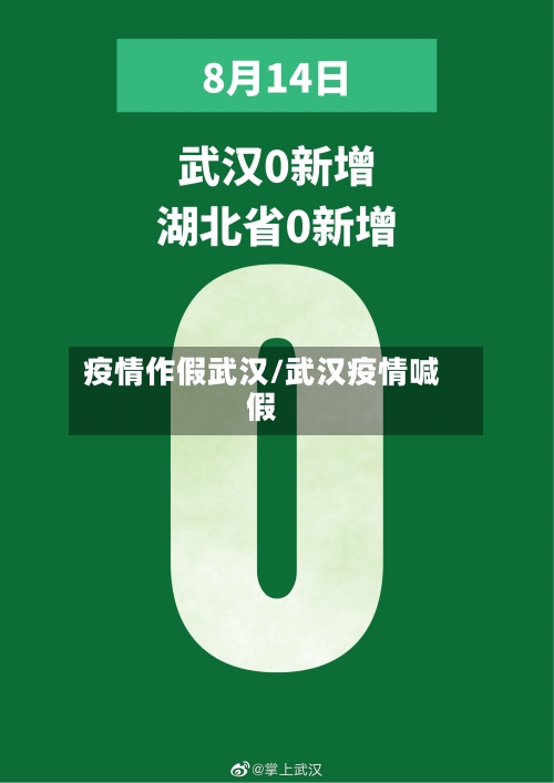 疫情作假武汉/武汉疫情喊假-第2张图片