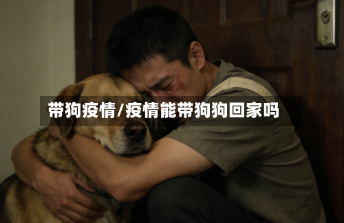 带狗疫情/疫情能带狗狗回家吗