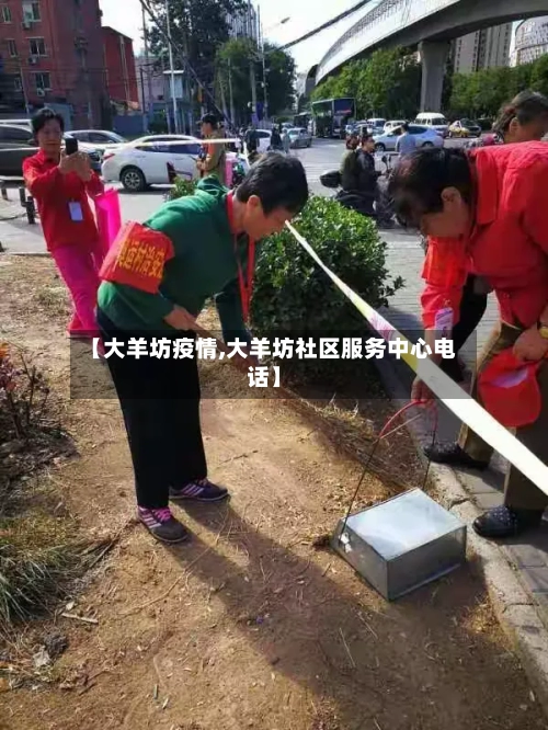 【大羊坊疫情,大羊坊社区服务中心电话】