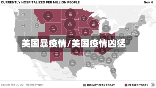 美国暴疫情/美国疫情凶猛